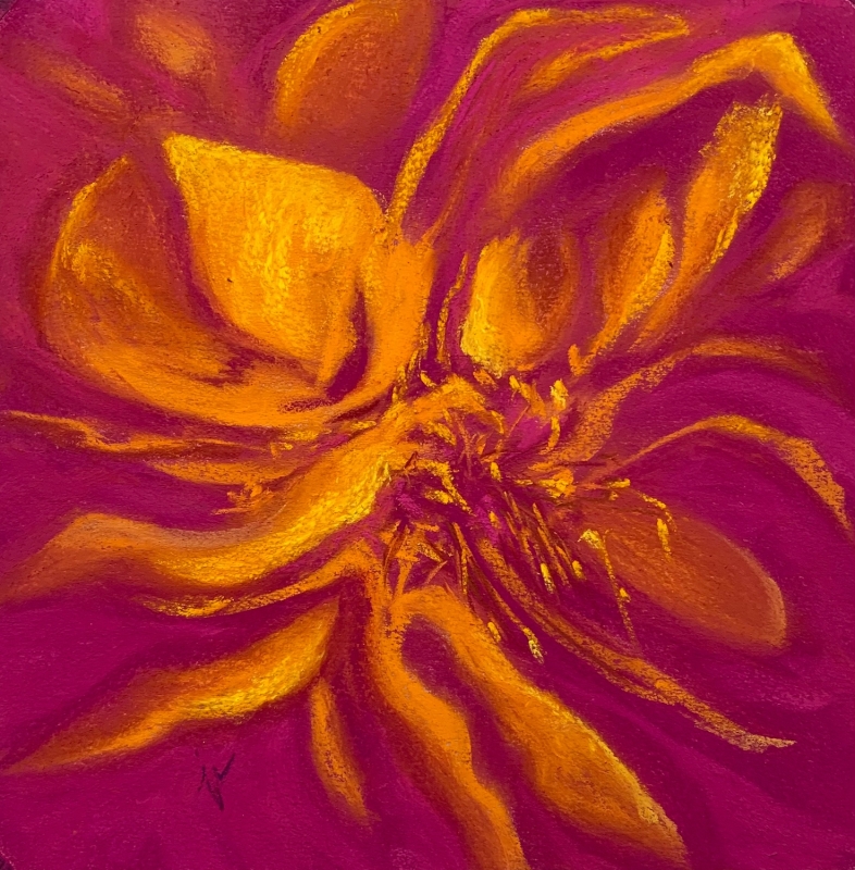 Peony Abstracted by artist Joycelyn Schedler